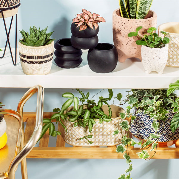 Rattan weave concrete planter
